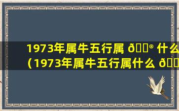 1973年属牛五行属 💮 什么（1973年属牛五行属什么 🌺 命能住8楼吗）